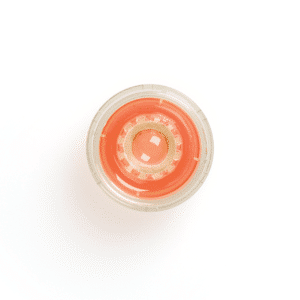 Cornea, DMEK Qualified, Pre-Peeled