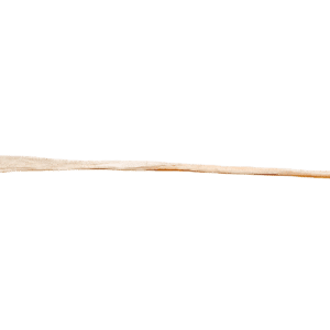 Longus Peroneus Tendon, Short, Irradiated
