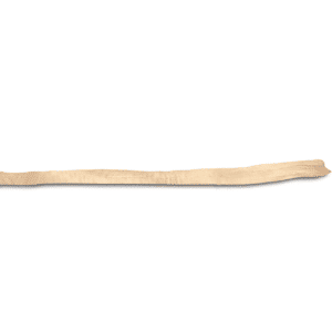 Tendon tibialis postérieur, aseptique, lyophilisé