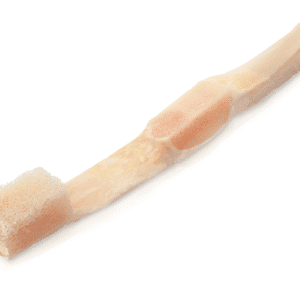 Tendon rotulien avec extenseur de 8cm, aseptique