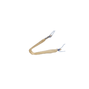 Presutured Lateral Ankle Tendon, Irradiated