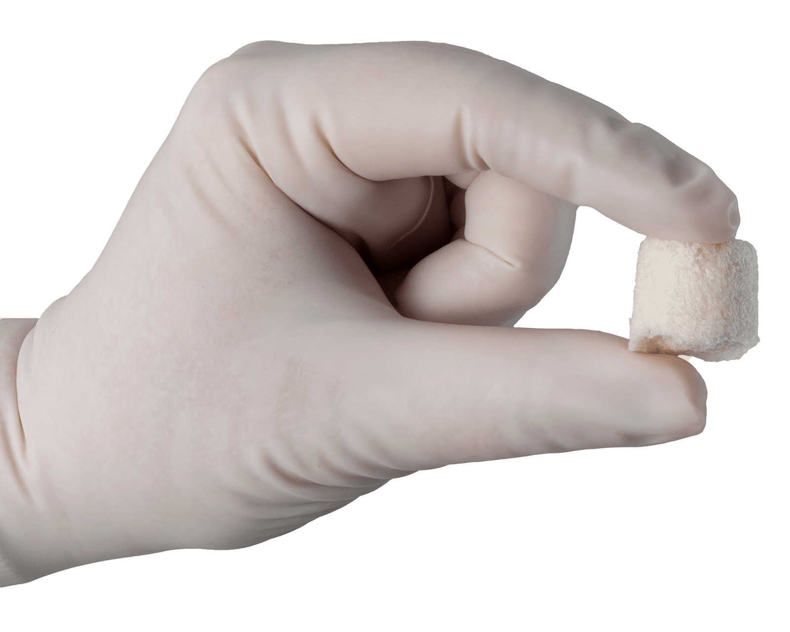 Demineralized Bone Fibers & Cancellous Particulates, Freeze-Dried