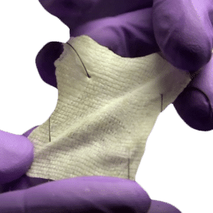 Pericardium, Freeze-Dried, Irradiated, 6cm x 6cm