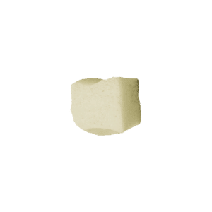 Cale calcanéenne, lyophilisée