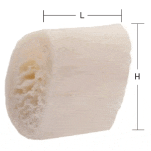 Segment brachymétatarsien, aseptique, lyophilisé, petit, L: 10mm