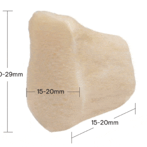 Proximal Metatarse Segment, Aseptic, Freeze-Dried